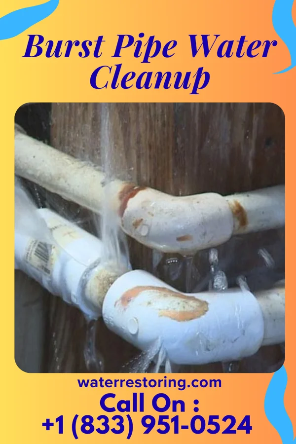 Burst Pipe Water Cleanup in Duncansville, PA