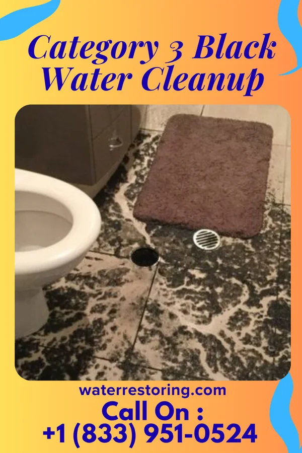 Category 3 Black Water Cleanup in Duncansville, PA