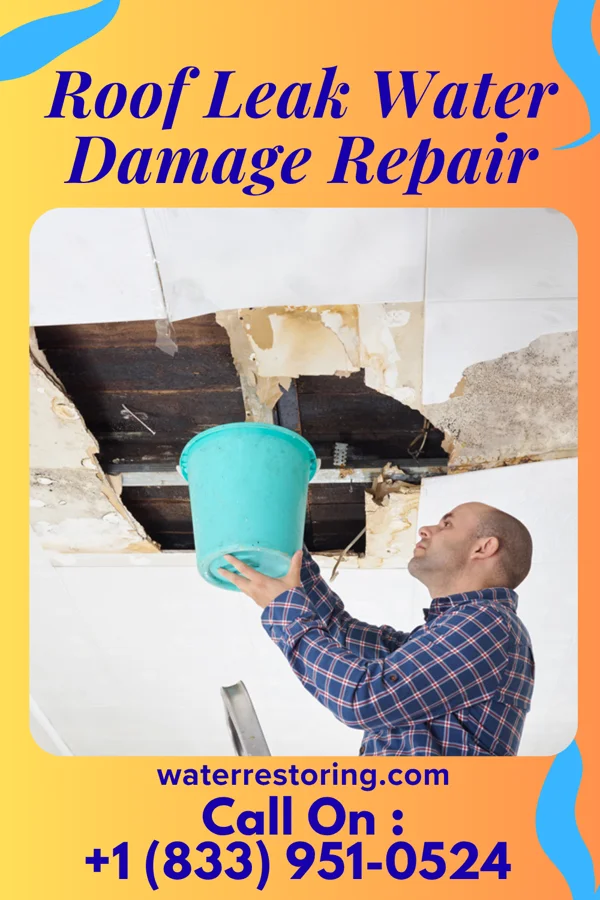 Roof Leak Water Damage Repair in Duncansville, PA