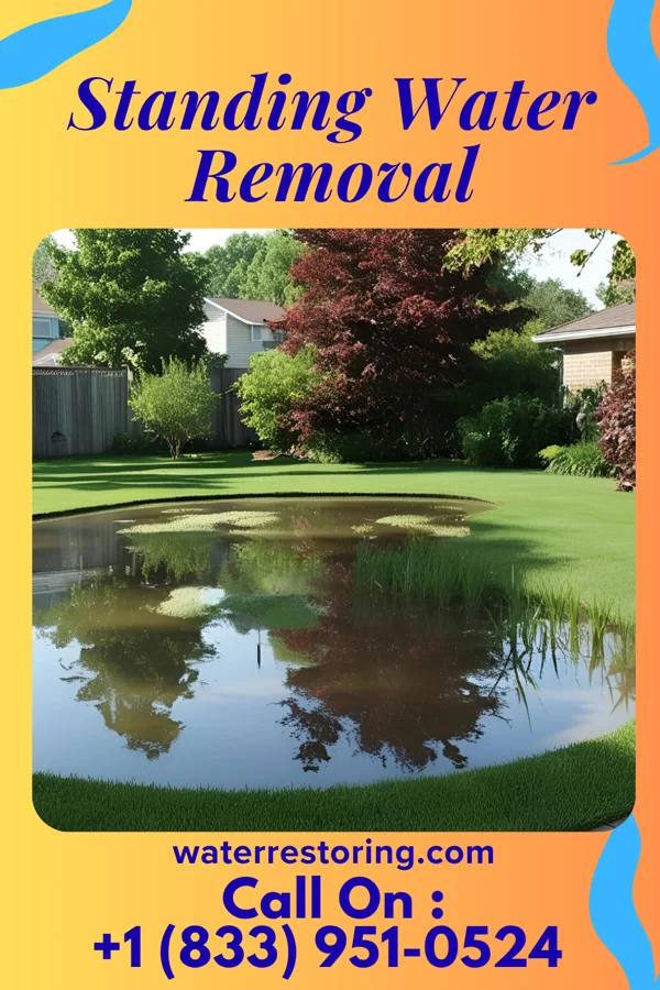 Standing Water Removal in Duncansville, PA